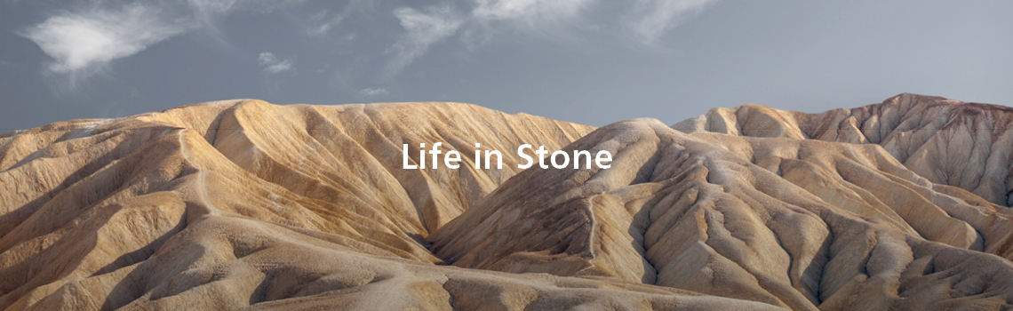 Life in Stone